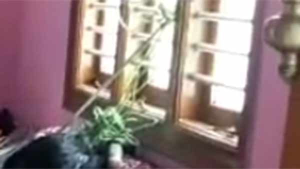  இளையராஜா