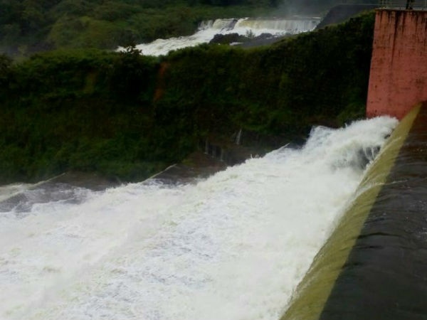 நடவடிக்கை எடுக்க கோரிக்கை 