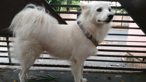 கண்டுபிடித்தேன் 