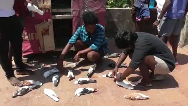 பதறினார் 