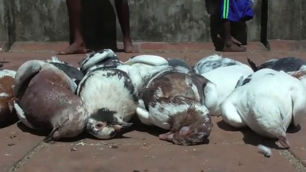அதிர்ச்சி 