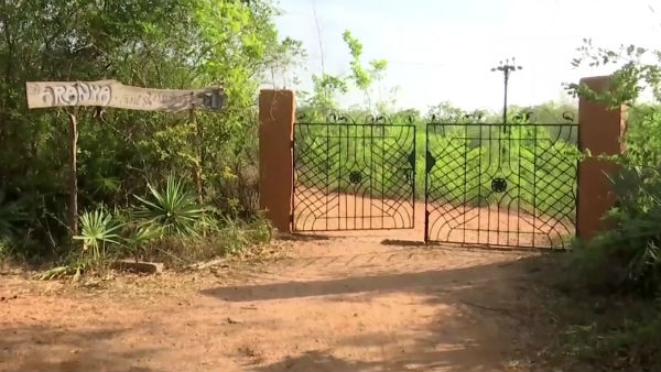 ஆரண்யா காடு