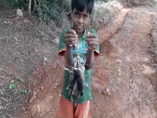 வயல்வெளி வயல்வெளி