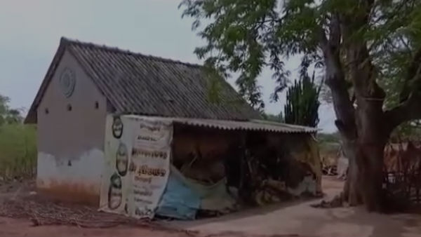 Husband murders wife in a family dispute near Sivagangai 