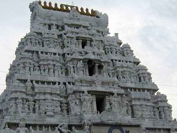 காளஹஸ்தியில் சிறப்பு பூஜை