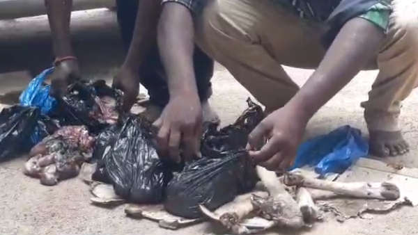 Two people arrested for selling deer meat 