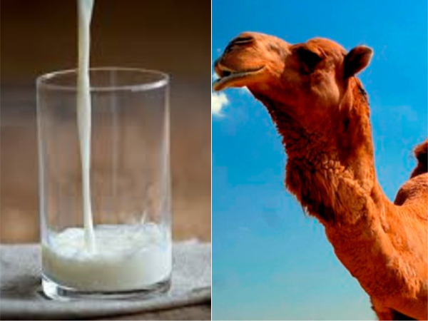 ரூ.25க்கு பால் விற்பனை 