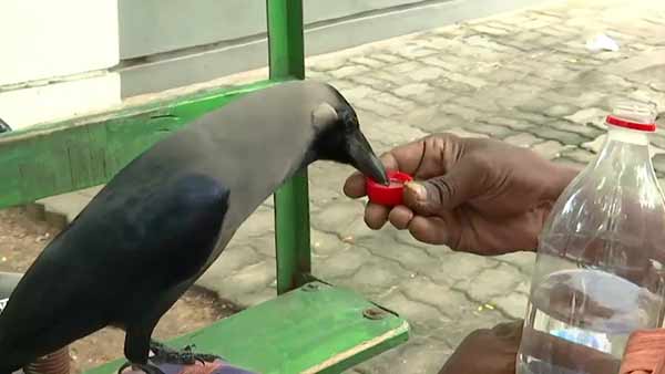 பாசம் பாசம்