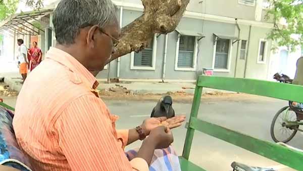 3 வேளை உணவு 3 வேளை உணவு