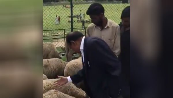 சிரிப்பு 