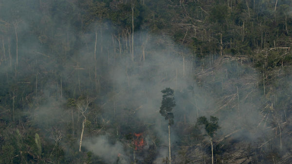 தீயை அணைக்க 
