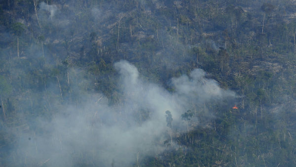 பிரேசில் அரசு 