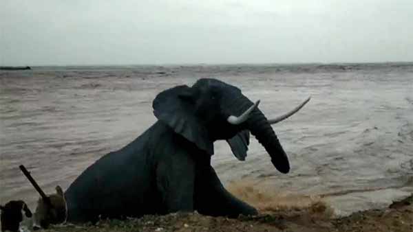 ஆர்ப்பரிக்கும் கடல் ஆர்ப்பரிக்கும் கடல்