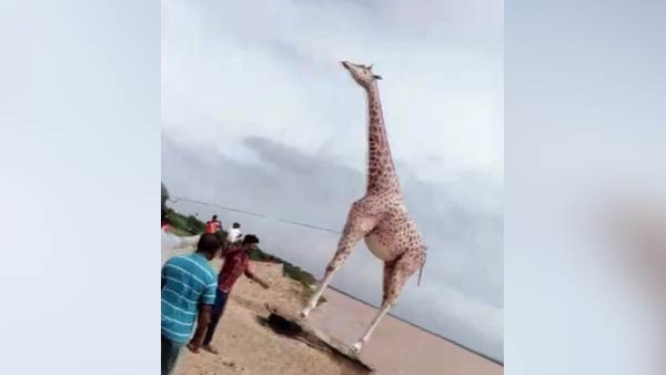 வேதனை வேதனை