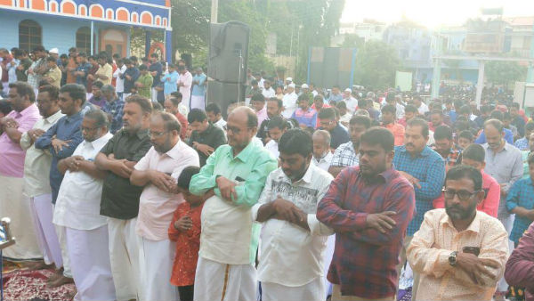 ஆடு மாடு பலி