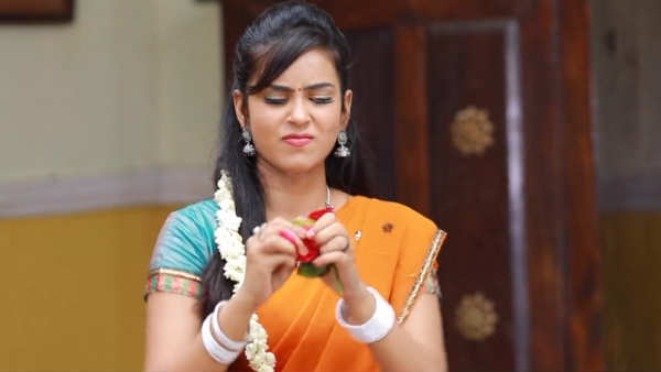 சிவப்பு ரோஜா 