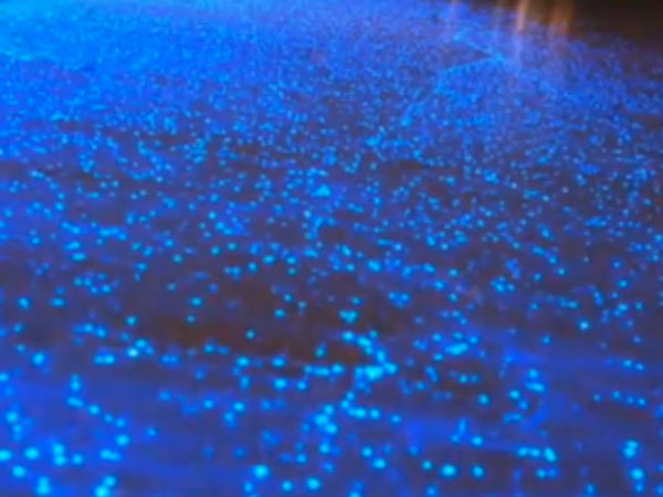 ஆய்வு நடந்து வருகிறது. 