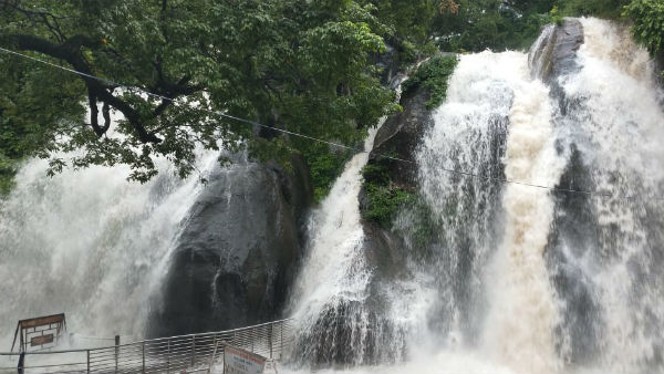 குற்றாலத்தில் குளிக்க தடை குற்றாலத்தில் குளிக்க தடை