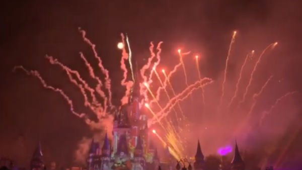 Disney wonder continues 