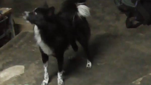 நெருங்க விடவில்லை 