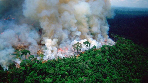 பார்வை இல்லை 