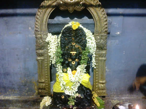 அதிர்ஷ்டசாலிகள்