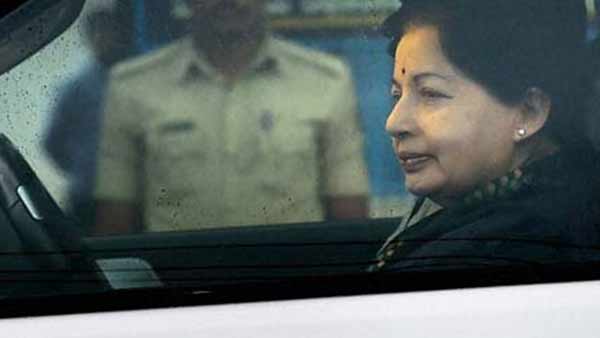 தோட்டத்தை சுற்றி 