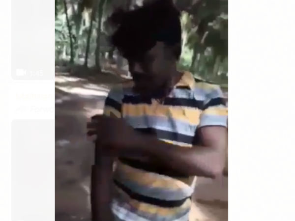 தென்னை மட்டை தென்னை மட்டை