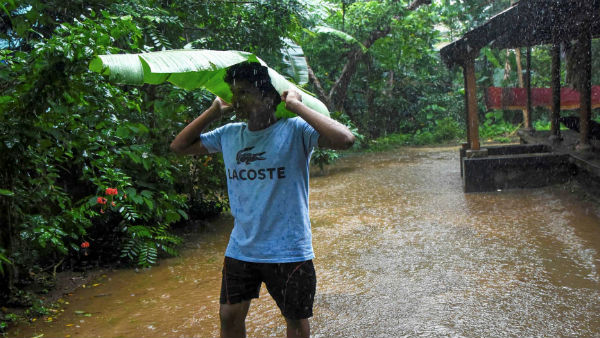 பலி எண்ணிக்கை 