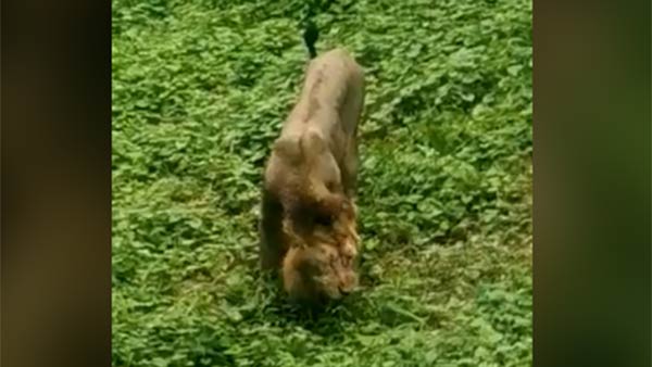 சுத்தம் 