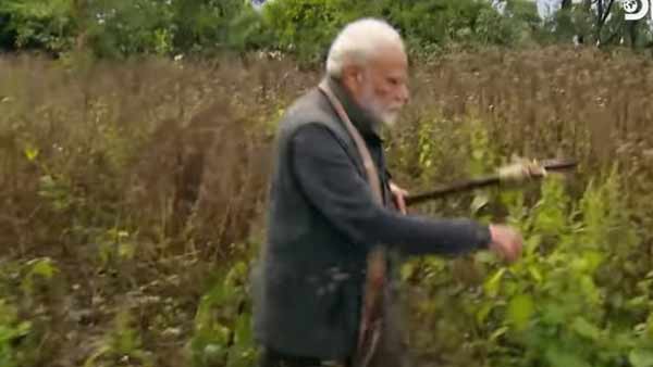 விலங்குகள் 