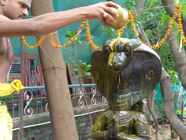 குழந்தைகளுக்கு நீண்ட ஆயுள் குழந்தைகளுக்கு நீண்ட ஆயுள்