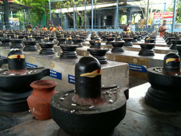 குறைகள் குணமாகும்