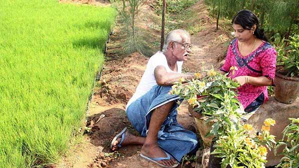 ஏக்கருக்கு 10 லட்சம் லாபம் ஏக்கருக்கு 10 லட்சம் லாபம்