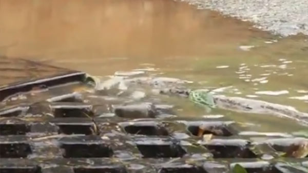 Sadhguru supports Rain Water Challenge 
