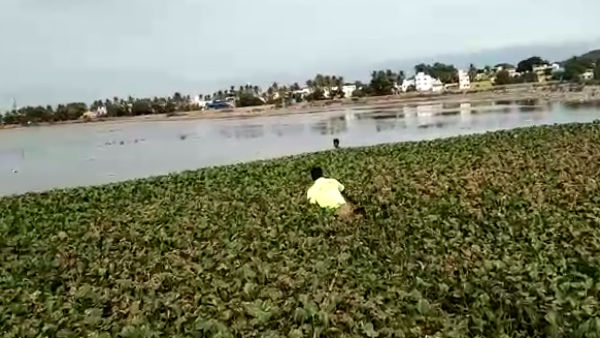 தீயணைப்புதுறை 