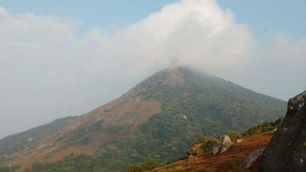 Forest department warn officers not to go ahead with quarters in Vellingiri forest Forest department warn officers not to go ahead with quarters in Vellingiri forest