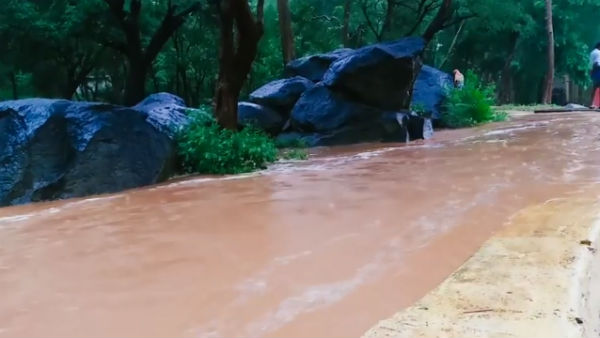 பாதுகாப்பான இடம் 