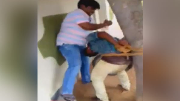 கைது 