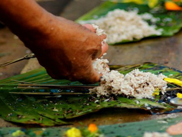 பசுவிற்கு பழம்