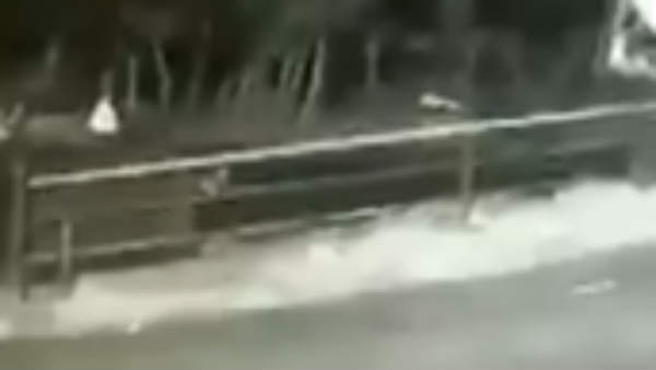 பதற வைக்கும் காட்சி பதற வைக்கும் காட்சி