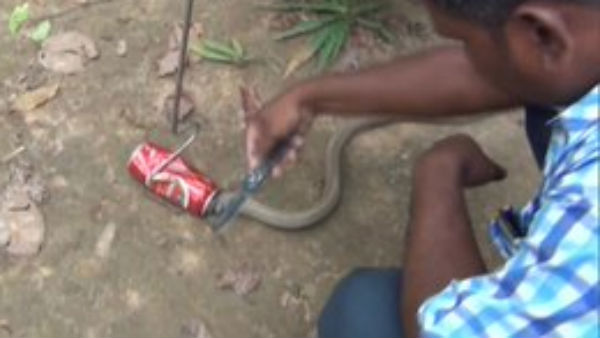 உயிரை பற்றி கவலையில்லை உயிரை பற்றி கவலையில்லை