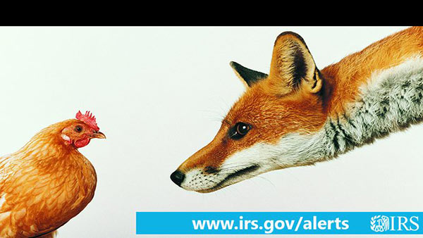 அமெரிக்காவிலும் உண்டே