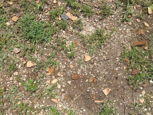 One More Keezhadi in Northern TamilNadu? 