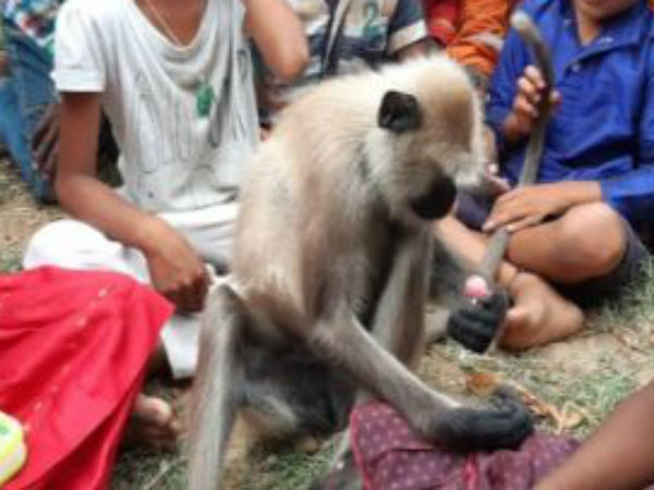 காயப்படுத்தாத லட்சுமி காயப்படுத்தாத லட்சுமி