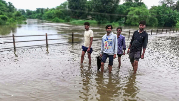 தவளை தான் காரணம்