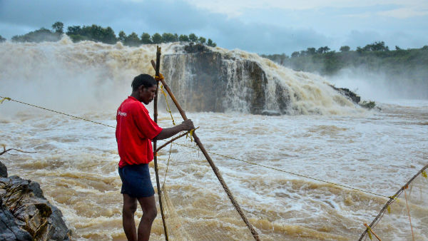 பொம்மை விவாகரத்து