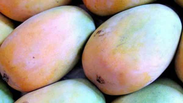 நீதிமன்றம் உத்தரவு நீதிமன்றம் உத்தரவு