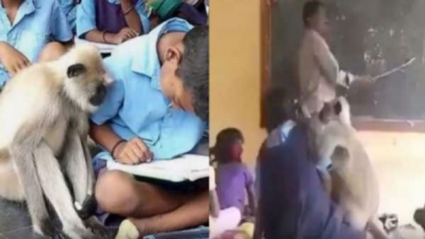 2 பலியாகின 2 பலியாகின