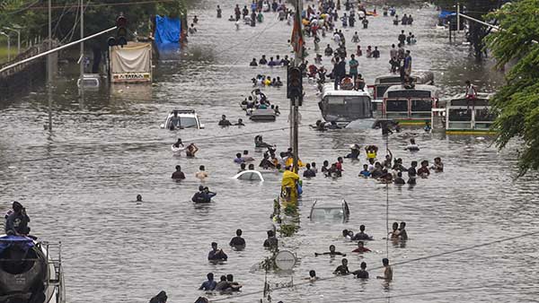 பச்சை எச்சரிக்கை 